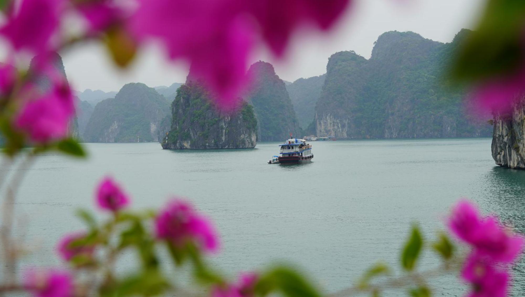 Cat Ba Plaza Hotel Dong Khe Sau エクステリア 写真